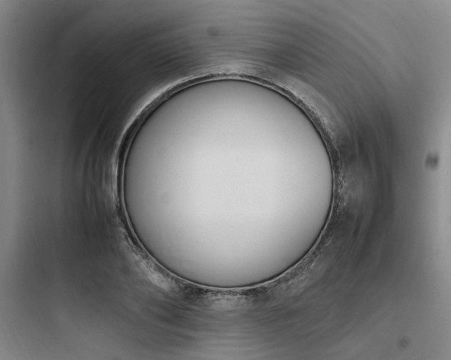 X0000097980886200803241257