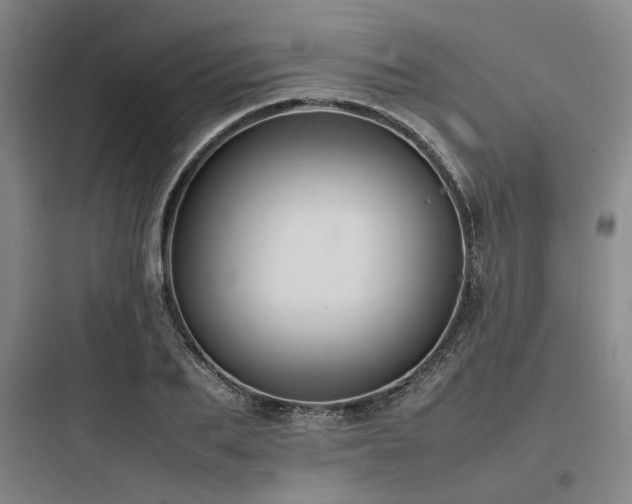 X0000097980887200803241257