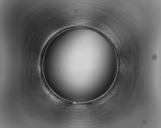 X0000097980888200803241257