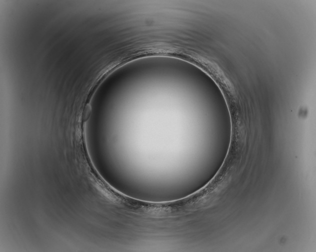 X0000097980889200803241257