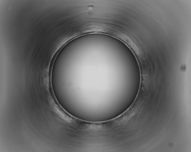 X0000097980890200803241257
