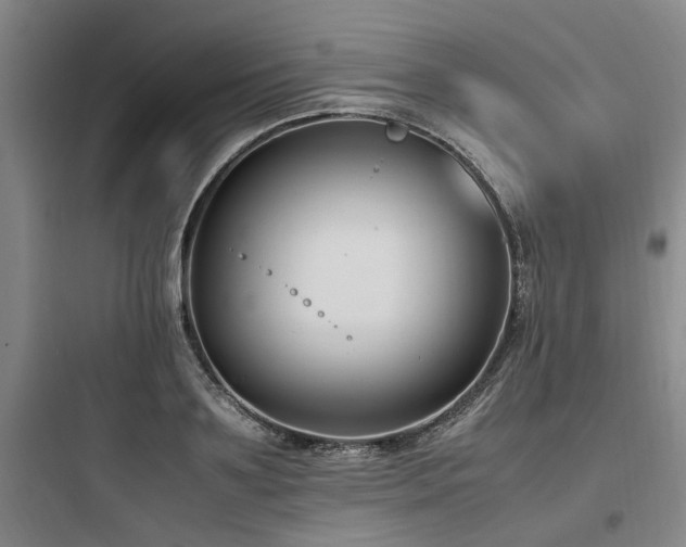 X0000097980891200803241257