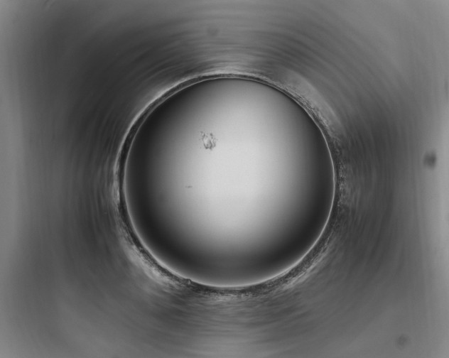 X0000097980892200803241257