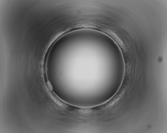 X0000097980893200803241256