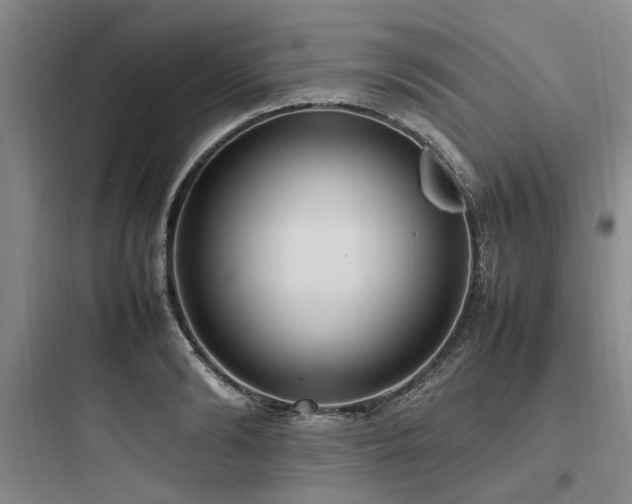 X0000097980894200803241256