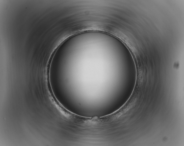 X0000097980898200803241256