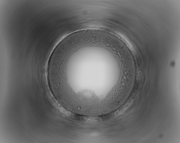 X0000097980899200803241256