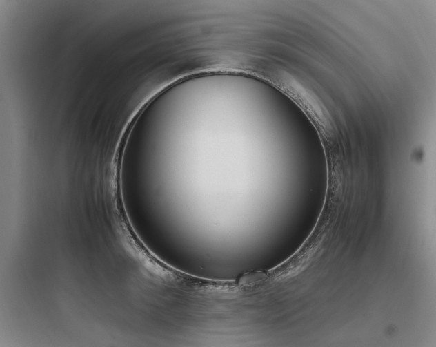 X0000097980900200803241256