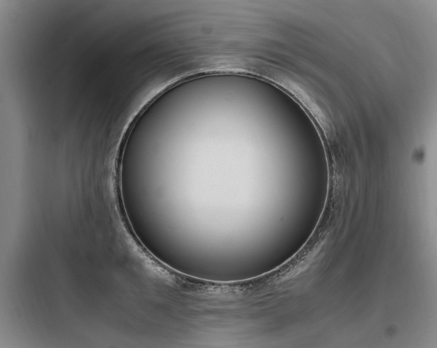 X0000097980901200803241256