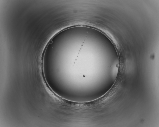 X0000097980903200803241256
