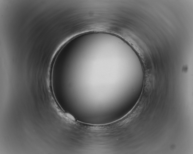 X0000097980904200803241256