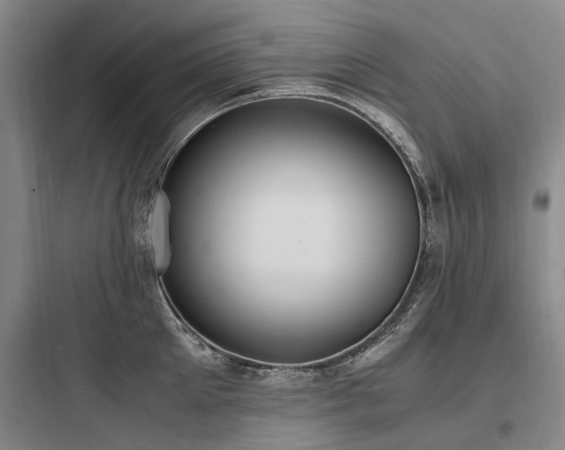 X0000097980905200803241256
