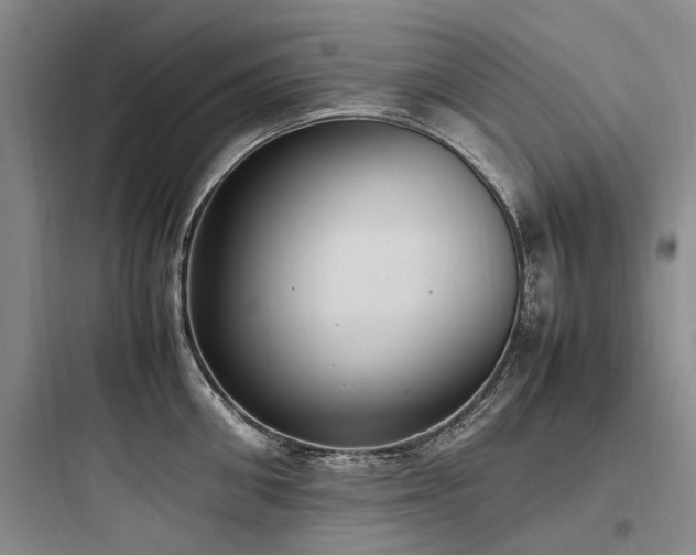 X0000097980906200803241256