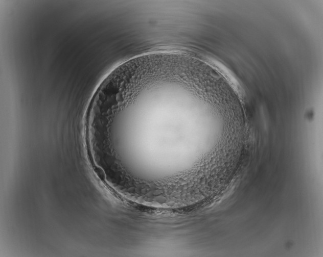 X0000097980907200803241256