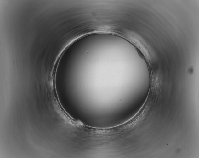 X0000097980908200803241256
