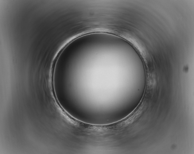 X0000097980910200803241256