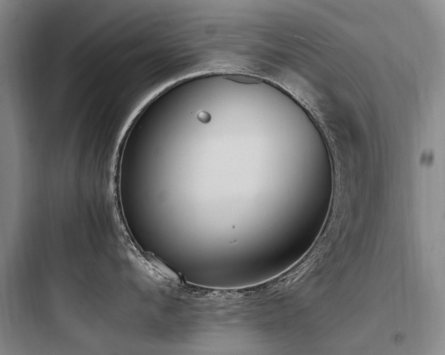 X0000097980912200803241256