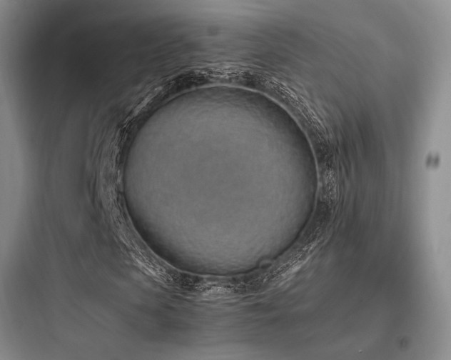 X0000097980913200803241255