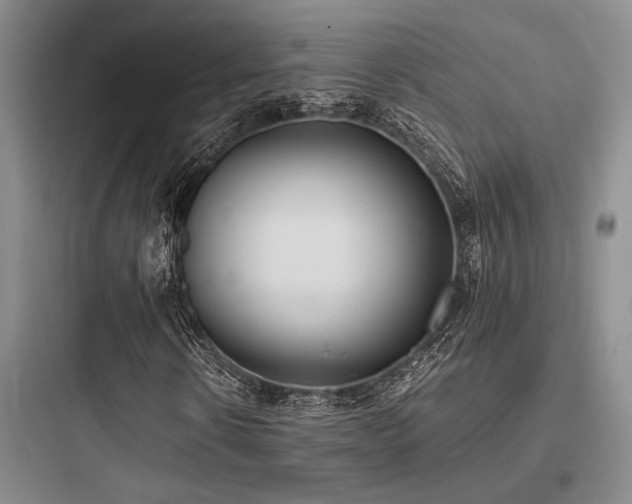 X0000097980914200803241255