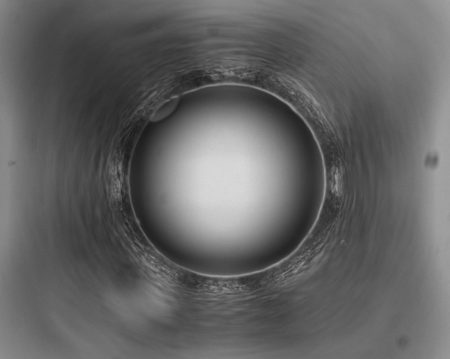 X0000097980915200803241255