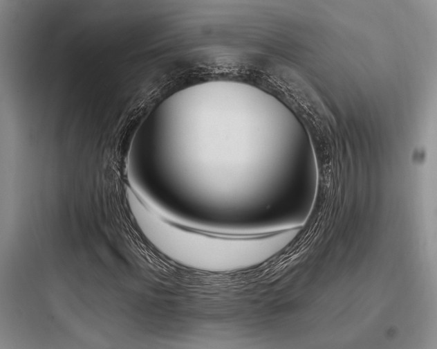 X0000097980916200803241255