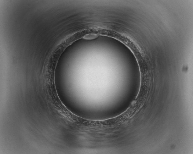 X0000097980919200803241255