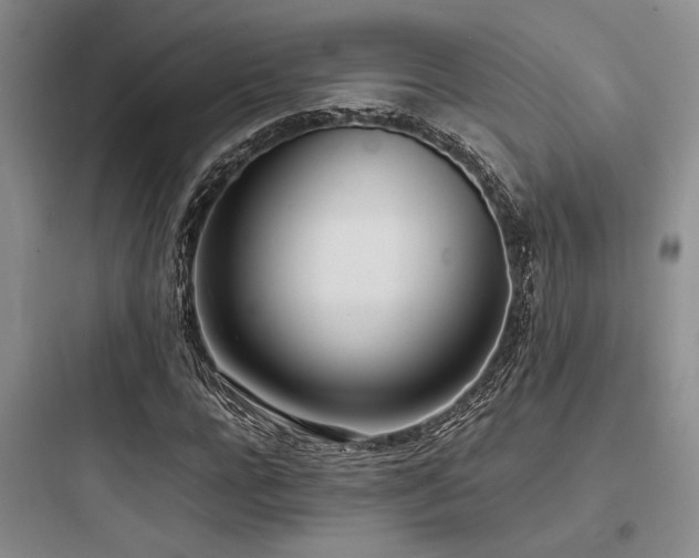 X0000097980920200803241255