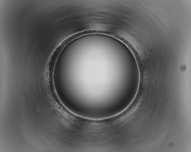 X0000097980923200803241255