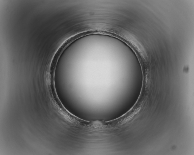 X0000097980924200803241255