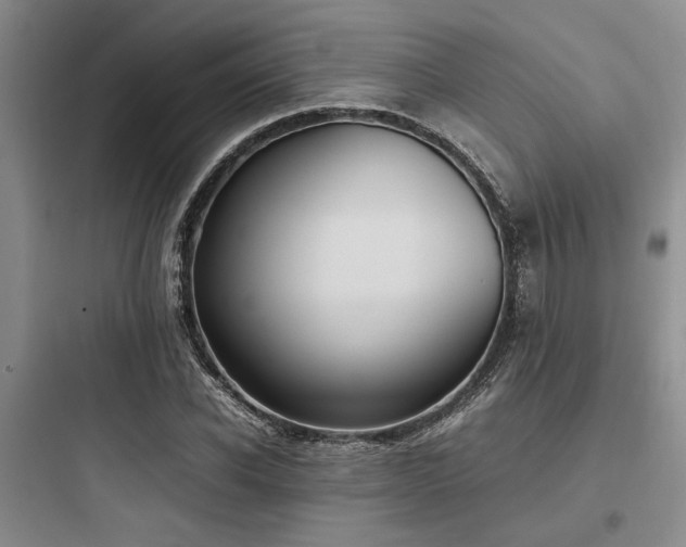 X0000097980926200803241255