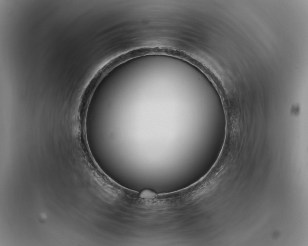 X0000097980927200803241255