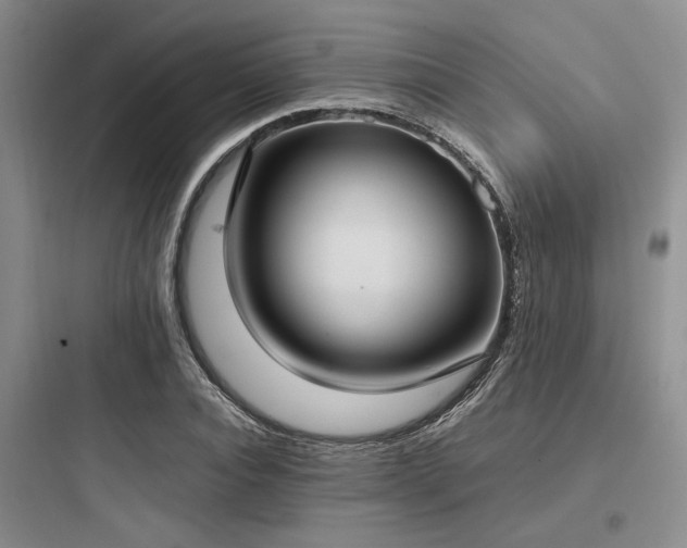 X0000097980928200803241256