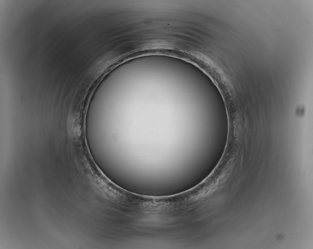 X0000097980929200803241256