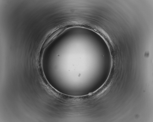 X0000097980930200803241256