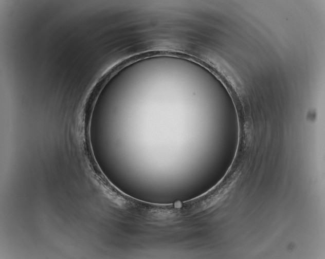 X0000097980931200803241256
