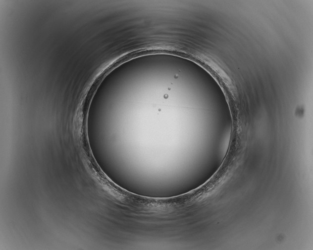 X0000097980933200803241256