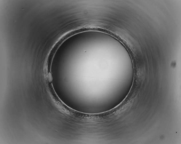 X0000097980934200803241256