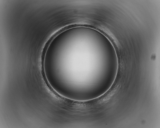 X0000097980935200803241256