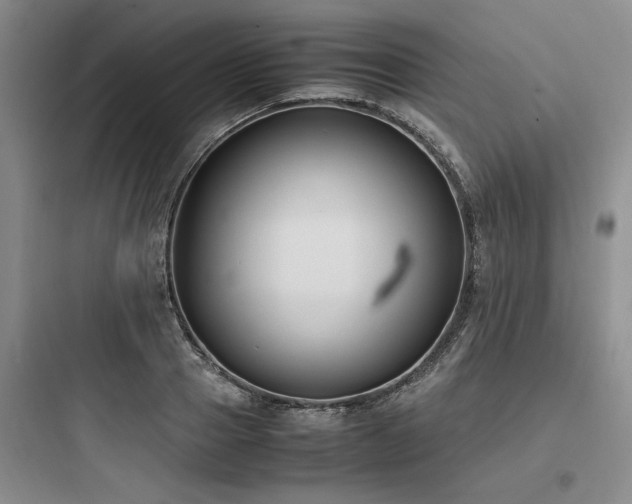 X0000097980937200803241256