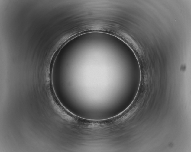 X0000097980938200803241256