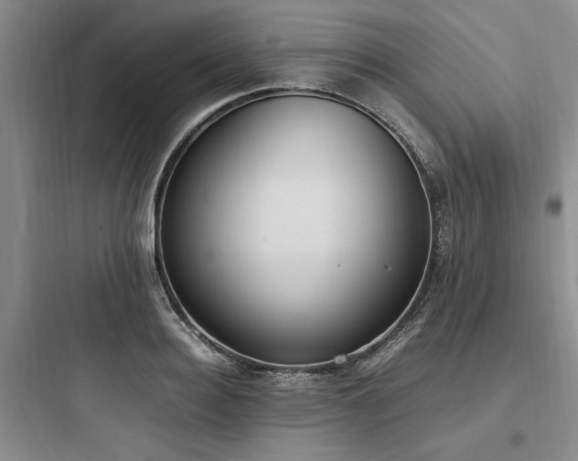 X0000097980940200803241256