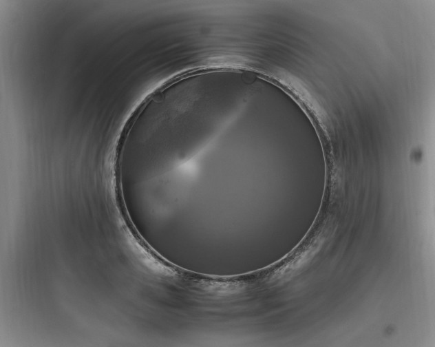 X0000097980941200803241256