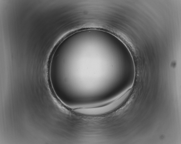 X0000097980942200803241256