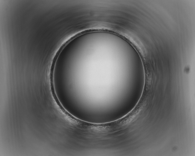 X0000097980943200803241256