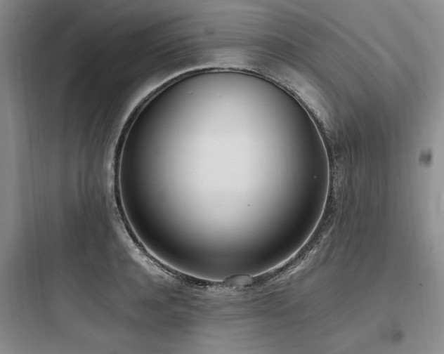 X0000097980944200803241256