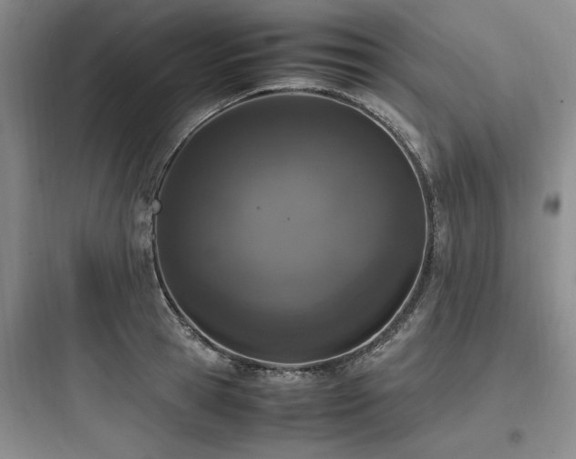 X0000097980945200803241256
