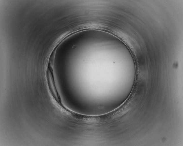 X0000097980946200803241256