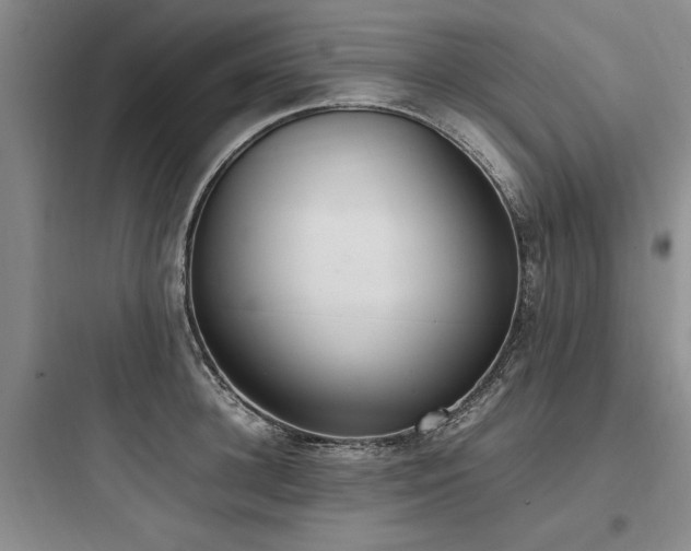 X0000097980948200803241256