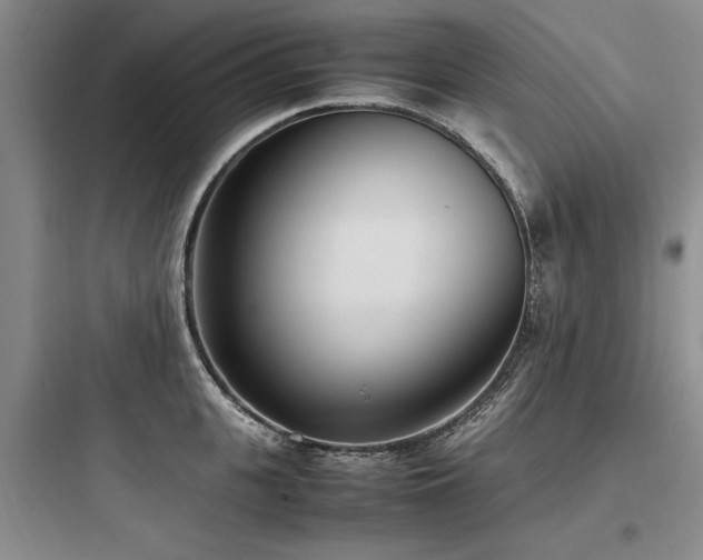 X0000097980951200803241256