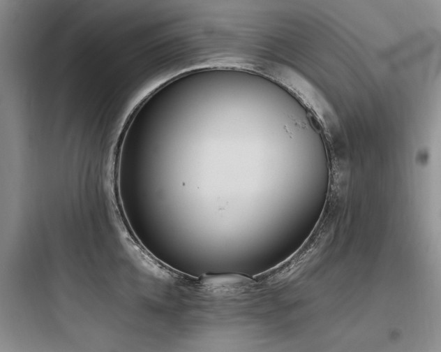 X0000097980952200803241256